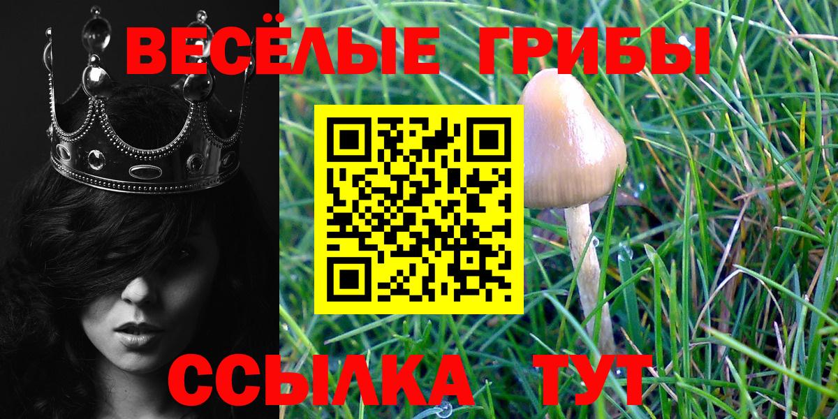 Псилоцибиновые грибы GOLDEN TEACHER Ростов Великий
