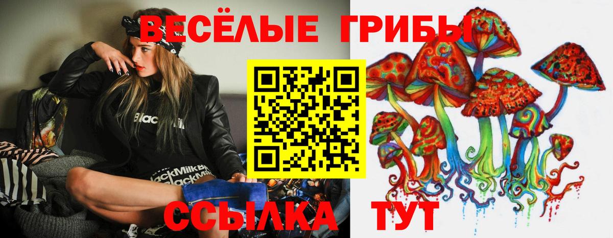 Галлюциногенные грибы прущие грибы  хочу наркоту  Галлюциногенные грибы прущие грибы  Ростов Великий  Вход с VPN 